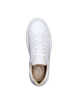 Glory White