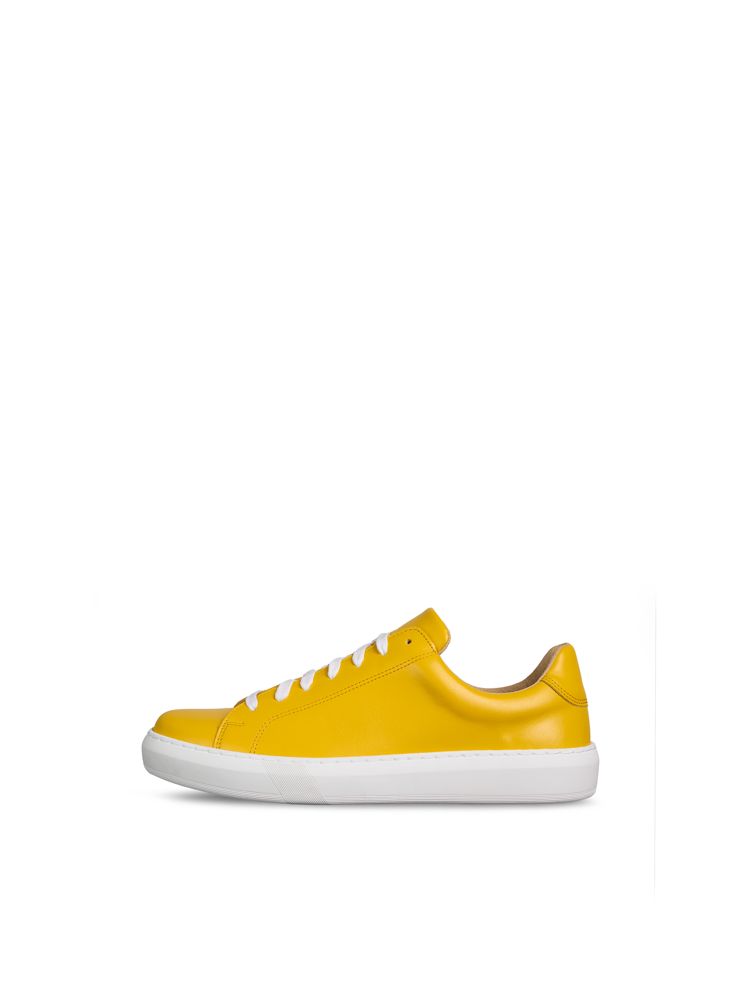 Glory Yellow