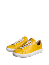 Glory Yellow