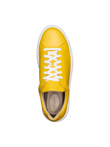 Glory Yellow