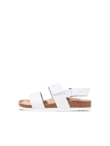 Sany White