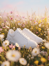 Daisy White