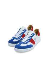Iconic Tricolor